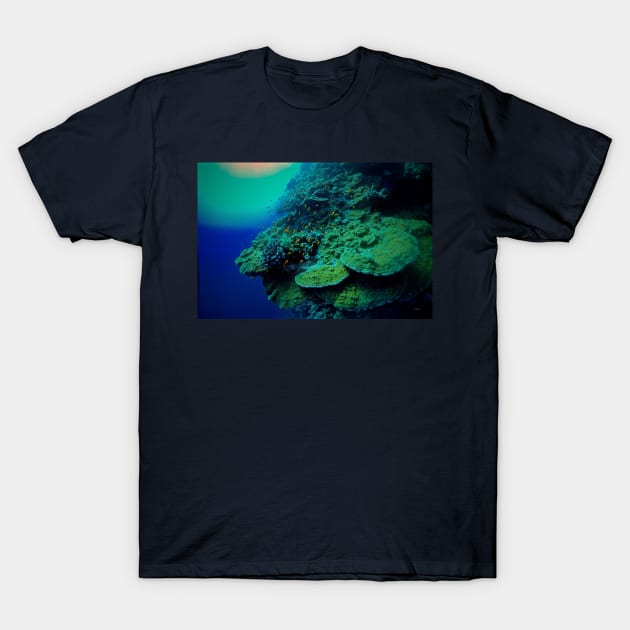 CORAL ANTHIAS OF THE RED SEA T-Shirt by dumbodancer